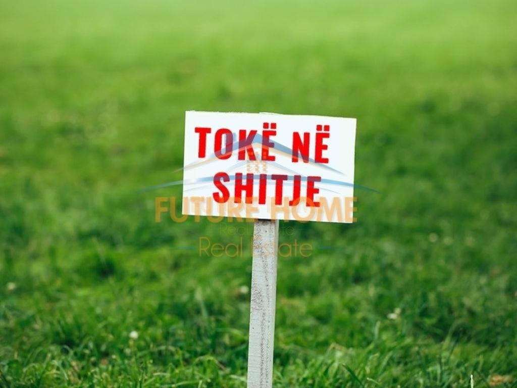 Shitet , Tokë Arë , Tushemisht , Pogradec
